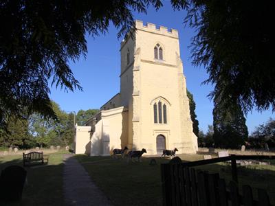 Picture 7